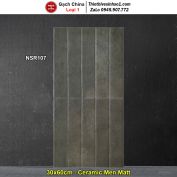 Gạch Ốp Trang Trí 30x60 Trung Quốc NSR107
