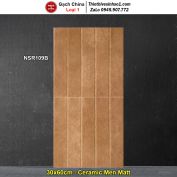 Gạch Ốp Trang Trí 30x60 Trung Quốc NSR109B