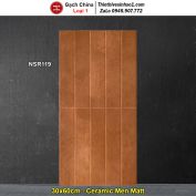 Gạch Ốp Trang Trí 30x60 Trung Quốc NSR119