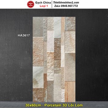Gạch Ốp Trang Trí 30x60 Trung Quốc HA3617