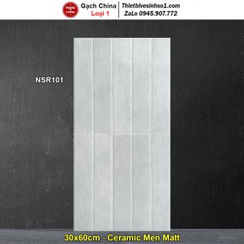 Gạch Ốp Trang Trí 30x60 Trung Quốc NSR101