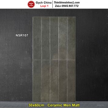 Gạch Ốp Trang Trí 30x60 Trung Quốc NSR107