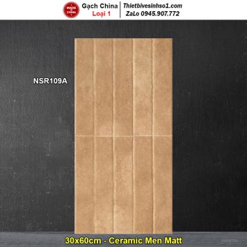 Gạch Ốp Trang Trí 30x60 Trung Quốc NSR109A