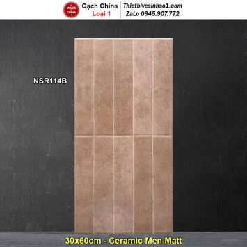 Gạch Ốp Trang Trí 30x60 Trung Quốc NSR114B