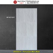 Gạch Ốp Trang Trí 40x80 Trung Quốc MF48Y00C