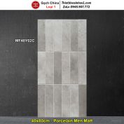 Gạch Ốp Trang Trí 40x80 Trung Quốc MF48Y02C