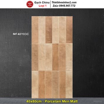 Gạch Ốp Trang Trí 40x80 Trung Quốc MF48Y03C