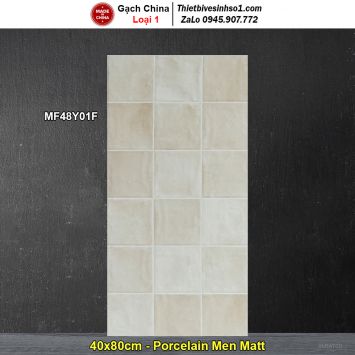Gạch Ốp Trang Trí 40x80 Trung Quốc MF48Y01F