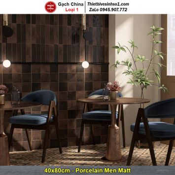 Gạch Ốp Trang Trí 40x80 Trung Quốc MF48Y05F