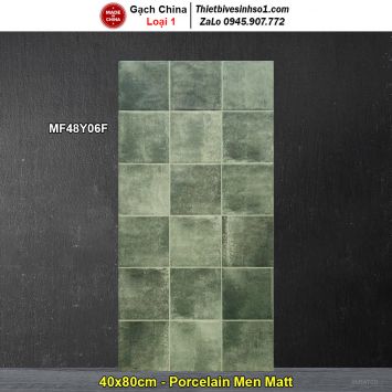 Gạch Ốp Trang Trí 40x80 Trung Quốc MF48Y06F