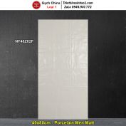 Gạch Ốp Trang Trí 40x80 Trung Quốc NF48Z02F