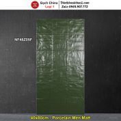 Gạch Ốp Trang Trí 40x80 Trung Quốc NF48Z05F