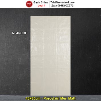 Gạch Ốp Trang Trí 40x80 Trung Quốc NF48Z03F