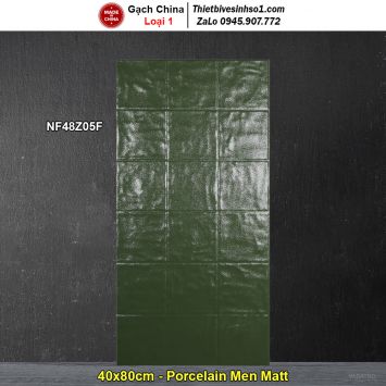 Gạch Ốp Trang Trí 40x80 Trung Quốc NF48Z05F