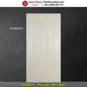 Gạch Ốp Trang Trí 40x80 Trung Quốc NF48Z03C