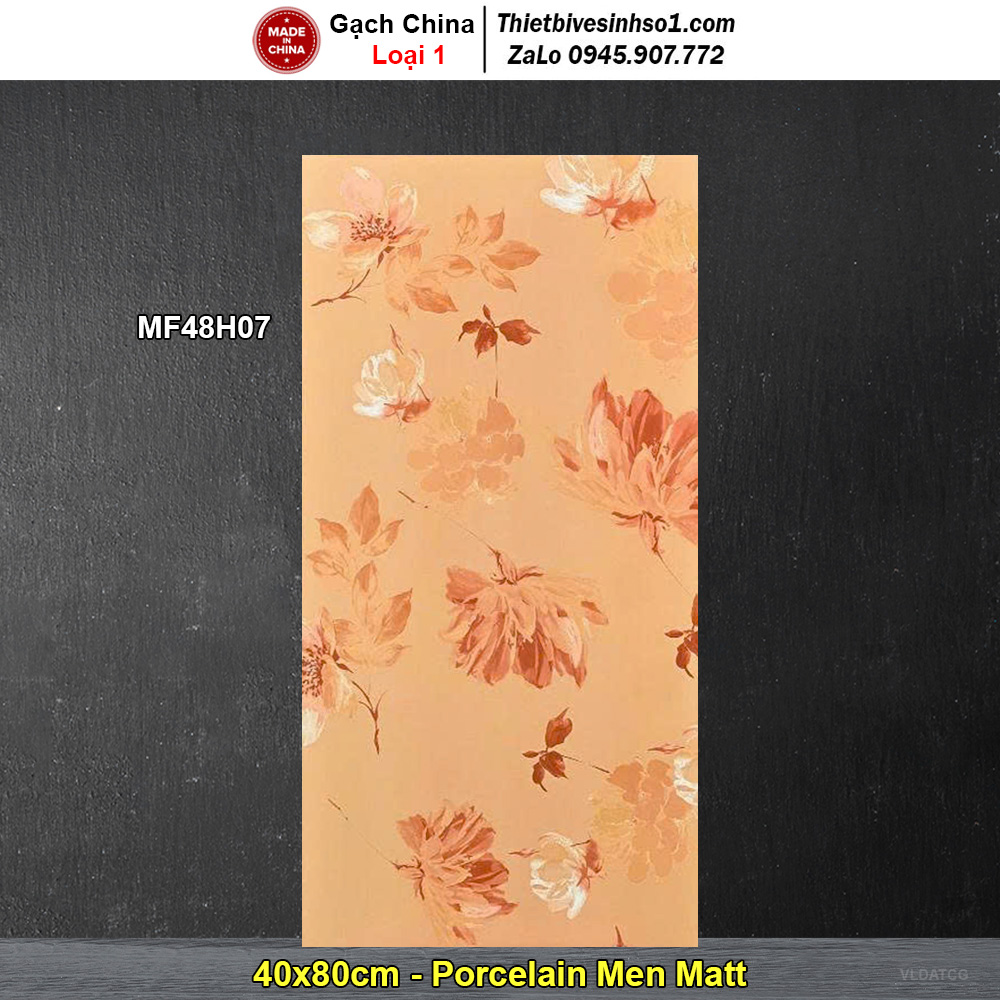 Gạch Ốp Trang Trí 40x80 Trung Quốc MF48H07