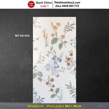 Gạch Ốp Trang Trí 40x80 Trung Quốc MF48H04