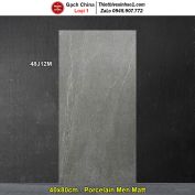 Gạch 40x80 Trung Quốc 48J12M