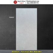 Gạch 40x80 Trung Quốc R4802