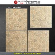 Gạch 60x60 Trung Quốc 6661 Lát Sân