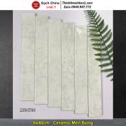 Gạch Thẻ 6x40 Trang Trí Trung Quốc M604T00