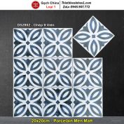 Gạch Bông Men 20x20 Trung Quốc DS2902