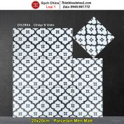 Gạch Bông Men 20x20 Trung Quốc DS2904