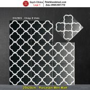 Gạch Bông Men 20x20 Trung Quốc DS2905