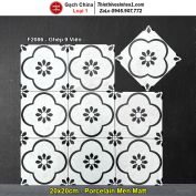 Gạch Bông Men 20x20 Trung Quốc F2086