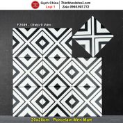 Gạch Bông Men 20x20 Trung Quốc F2089