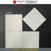Gạch Bông Men 20x20 Trung Quốc NT2200