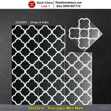 Gạch Bông Men 20x20 Trung Quốc DS2905