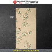 Gạch Ốp Trang Trí 40x80 Trung Quốc H801