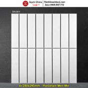 Gạch Mosaic Gốm DS301