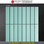 Gạch Mosaic Gốm DS305
