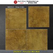 Gạch Bông Men 20x20 Trung Quốc SM20523
