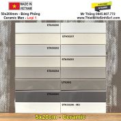 Gạch Thẻ 5x20 Màu STA5020