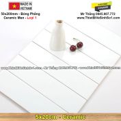 Gạch Thẻ 5x20 Trắng Bóng STA50200