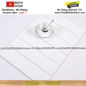 Gạch Thẻ 5x20 Trắng Mờ STA50206