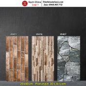 Gạch Ốp Trang Trí 20x40 Trung Quốc 20411-20416-20407