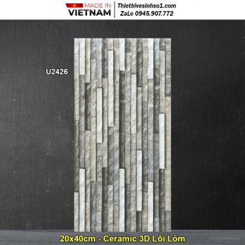 Gạch Ốp Trang Trí 20x40 Dacera U2426