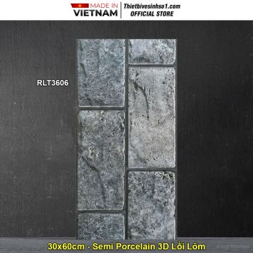 Gạch Thẻ Trang Trí 30x60 Dacera RLT3606