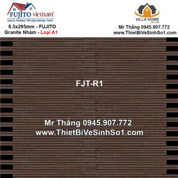 Gạch FUJITO FJT-R1