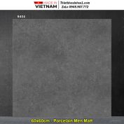 Gạch 60x60 Prime 9404