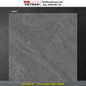 Gạch 60x60 Prime 9407