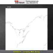 Gạch 60x60 Prime 9729