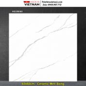 Gạch 60x60 Prime HB39040