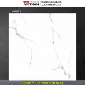 Gạch 60x60 Prime HB9725
