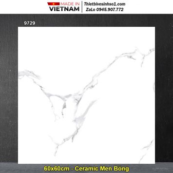 Gạch 60x60 Prime 9729