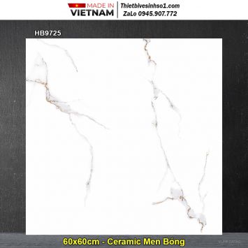 Gạch 60x60 Prime HB9725